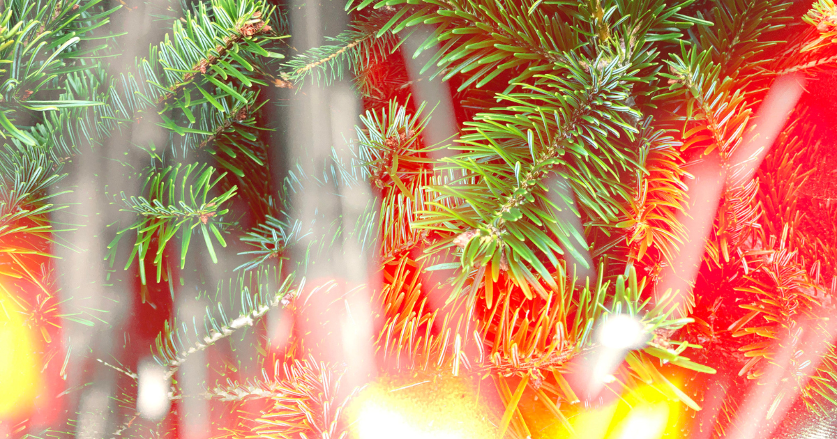 Is It Safe To Use Your Christmas Tree As Wood In Your Fireplace?